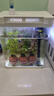 宠街坊小鱼缸一体缸自循环水族箱桌面客厅小型送礼生态鱼缸造景240 实拍图