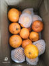 广西武鸣沃柑2025橘子新鲜水果当季一级沙糖蜜橘砂糖柑橘大果 中果(单果径60-65mm) 净重8.5斤 实拍图