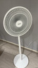 美的（Midea）【品质推荐】七叶轻音柔风电风扇/家用省电落地扇/台式电扇/广角摇头节能宿舍小型风扇 SAE35CA 实拍图