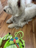 HELLOJOY狗狗玩具 耐咬磨牙棉绳球套装宠物幼犬小狗玩具自己玩解闷9件套 实拍图