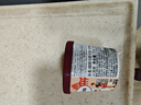 哈根达斯（Haagen-Dazs）肉桂焦糖味 经典吉士果冰淇淋 100ml/杯 雪糕 实拍图