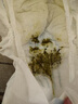 babycare皇室狮子王国弱酸纸尿裤小号S58片(4-8kg)婴儿尿不湿亲肤透气 实拍图