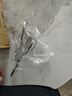 小熊（Bear）打蛋器 家用电动打蛋机 迷你奶油打发器 烘焙手持自动搅蛋器搅拌器  DDQ-B01K1 实拍图