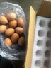 富硒鸡蛋45-55g/枚新鲜鸡蛋土鸡蛋溏心蛋早餐买菜京东包邮溏心蛋 富硒鸡蛋10枚 实拍图
