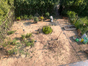 德沃多蔬菜专用植物营养土40L园艺种菜土壤盆栽果蔬花土种植 实拍图