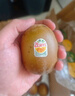 佳沛（zespri）新西兰  阳光金奇异果25-27粒原箱特大果单果约122-146g  猕猴桃 实拍图