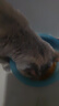 伟嘉猫粮成猫夹心粮 全价粮吞拿鱼1.3kg布偶蓝猫橘猫加菲英短猫咪 实拍图