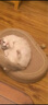涴喵 布偶猫活体幼猫宠物猫咪活体海双蓝双山猫布偶蓝眼睛长毛仙女猫 宠物级 蓝双布偶猫 实拍图