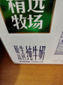 蒙牛浓牛奶 多39%蛋白质奶香浓郁 200ml×24包  咖啡搭档 礼盒装 实拍图