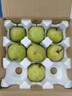 汇尔康砀山梨4.5斤丰县酥梨新鲜采摘当季水果酥脆多汁 实拍图