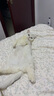 弗列加特 98%生骨肉含量 FPMR磷虾油全价猫主食罐头 混合口味95g*6罐 实拍图