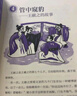 少年读世说新语（写给孩子的魏晋名士的笔记小说集，通脱、有趣而富含智慧和哲理 套装全三册） 课外阅读 阅读 课外书 实拍图