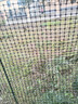 界图 塑料网格防护养殖养鸡围栏网玉米网围栏安全网防护网格护栏围网 1.5米高+3厘米孔+扎带 2.3mm厚(50米/卷)【简单防护】 实拍图