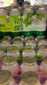 优乐多 乳酸菌饮品 340ml*12瓶 青提味 饮料 益生菌发酵   实拍图