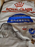 皇家室内成猫粮 I27 通用粮 12月以上 10KG 实拍图