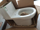 松鲸 卫浴家用马桶坐便器大冲力超漩虹吸式静音连体座便器小户型马桶 直冲型【大冲力】+轻音盖板 实拍图