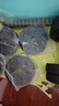 华亚（HUAYA） 哑铃男士杠铃套装可调节环保包胶手铃亚玲家用运动锻炼健身器材 20公斤（左右各10kg）+连接杆 实拍图