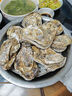 鲜海道【品质】鲜海道生态生蚝  乳山牡蛎 活鲜海蛎子生鲜贝类 品质升级5XL净重4斤（6-9只） 实拍图