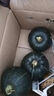 京鲜生  国产贝贝南瓜 净重4.9斤(品种:麻籽) 单果400g+ 粉糯 源头直发 实拍图