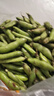 乔诚云南新鲜生大绿心带壳蚕豆米嫩胡豆罗汉豆角大青豆荚时令蔬菜现摘 5斤 实拍图