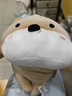 名创优品（MINISO）柴犬系列毛绒公仔趴姿玩具娃娃抱枕睡觉室内卧室办公室生日礼物 实拍图