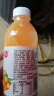 椰瀑沙棘汁饮料整箱果汁饮品360ml大瓶沙棘风味夏季批发网红 360ml*6瓶 实拍图