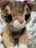 ZURU佩特宠物毛线猫咪女孩卡通玩偶趣味发声互动玩具生日礼物猫咪摆件 实拍图