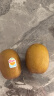 佳沛（zespri）新西兰  金果10粒猕猴桃礼盒巨大果单果144-175g 端午节水果礼盒 实拍图