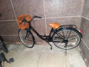 金武端自行车成人通勤车单车学生式女士轻便休闲实心胎复古上班变速买菜 尊享版-单速-黑色 26寸 实拍图