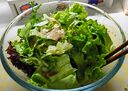 绿食者 生菜沙拉组合3.5斤 球生菜绿叶红叶生菜苦菊奶油生菜 轻食蔬菜 实拍图