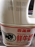 香满楼  鲜牛奶桶装2L*1桶  3.3g优质乳蛋白 巴氏杀菌乳 早餐奶 实拍图
