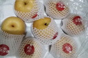 京鲜生 长城莱阳羊脂秋月梨 净重5斤4粒单果500g+ 稀有大果生鲜水果礼盒 实拍图