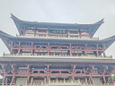 雷龙奇影8X21迷你双筒望远镜高清高倍专业级便携可折叠户外演唱会 实拍图