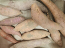 京鲜生山东四色蜜薯组合净重5斤单果100g+红薯地瓜紫薯烟薯源头直发包邮 实拍图