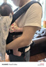 ERGObaby二狗背带婴儿抱娃神器四季透气外出旅行遛娃神器breeze解放双手 breeze透气款-限定色摘星款 实拍图