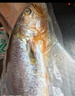 海名威 冷冻黄花鱼700g/2条 宁德大黄鱼地标 海鲜水产 生鲜鱼类 海鱼 实拍图