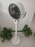 艾美特（AIRMATE）【小暴风语音】空气循环扇大风量电风扇家用小型落地扇升级加高电扇轻音柔风小风扇 FA18-SR160 实拍图