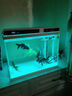 森森 超白玻璃智能桌面鱼缸一体缸自循环HE-480 实拍图