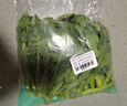 京百味 新鲜芥蓝 芥兰 湖南出品  600g 简装 新鲜蔬菜  实拍图