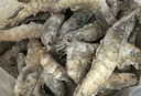 东上御品虾 青岛大虾基围虾鲜活青虾白虾海虾对虾冰虾冻虾生鲜 虾类 海鲜 3斤(净重)  气冻大虾【活虾速冻】 11-12cm【单只无冰衣】 实拍图