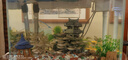 森森（SUNSUN）超白鱼缸一体缸自循环客厅桌面小型家用水族箱HEJ-380 实拍图