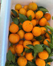 桃李村广西桂林砂糖橘沙糖桔当季新鲜水果小橘子蜜橘整箱生鲜纯甜正宗应 精选高山果【爆甜多汁】 5斤 实拍图