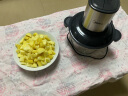 美的绞肉机家用 自营旗舰店绞馅机碎肉机电动多功能料理搅拌饺子肉馅蒜蓉机婴儿辅食绞菜机JC16 约2L 实拍图