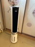 美的（Midea）【冰爽净化】家用空调扇加湿智能声控负离子落地冷风扇电风扇冷风机水冷塔扇制冷机小空调AAI12PV 实拍图