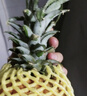 广东徐闻菠萝香水菠萝产地直发  2粒装 净重3-3.5斤 单果650g+ 实拍图