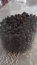 金沃瑞丰精品有机 黑糯玉米棒260g*8支＞4.5斤 新鲜甜粘黏 粗粮自营早餐 实拍图
