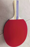 红双喜SH横直对拍01初学者训练比赛乒乓球拍横直套装+乒乓球 实拍图
