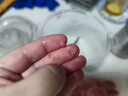 小熊（Bear）绞肉机家用 辅食机婴儿绞馅机 碎肉机 多功能料理搅拌 打蒜器电动 搅肉机 约2升双刀QSJ-B03E1 实拍图