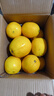 【热销】湖北秭归脐橙鲜果上市 带箱9斤75-80mm 实拍图