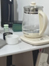 九阳（Joyoung）0胶水养生壶 1.5L煮茶器 玻璃花茶壶 316不锈钢烧水壶电热水壶 WY301 实拍图